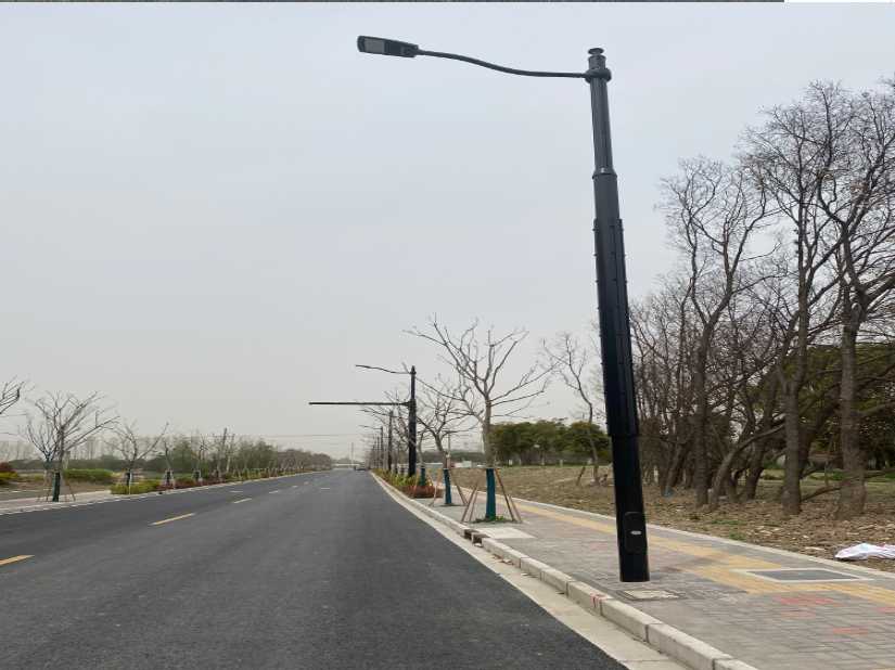 衡东县上海综合杆 太阳能路灯工程